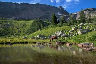В горах Рудного Алтая