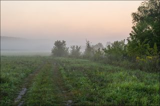 Вдоль реки на рассвете