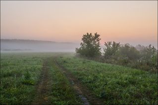 Показалось солнышко
