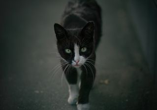 В переулках Арбата