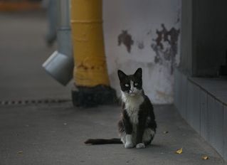 В переулках Арбата