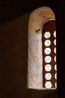 Ласточка возвращается в храм с добычей чтобы покормить птенцов