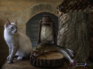 -Я чудовища не боюсь!