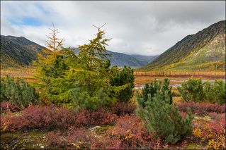 На дельту ручья упало солнышко