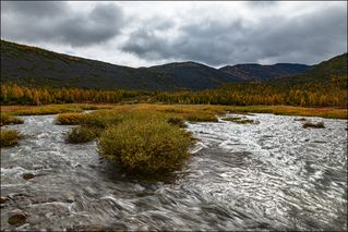 Быстрые воды Студёного