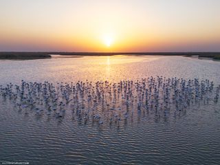 Озеро Фламинго