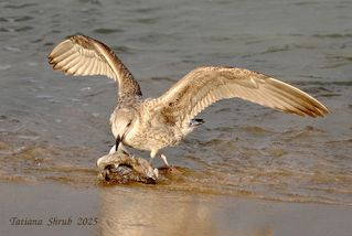 Рыбалка удалась