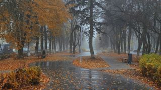 Осень. Туман.