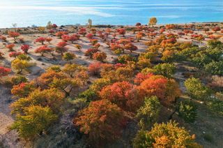 На берегу Иссык-Куля