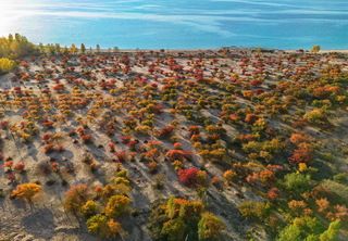 На берегу Иссы-Куля