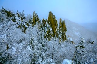 таганай перья 2025