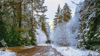 таганай ноябрь 2025