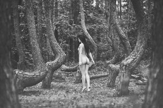 crooked forest
muse Ada L.