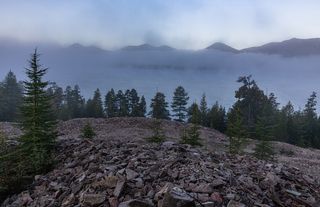 С приближением времени восхода туман стал медленно подниматься.