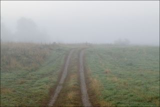 Дорога в молочное сентябрьское утро