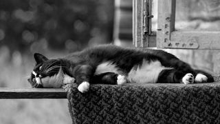 И пусть весь мир подождет