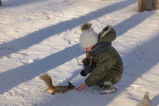 Зима Елагин Остров