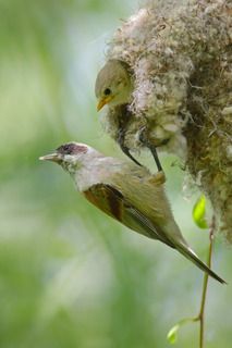 Пора в путь малыш