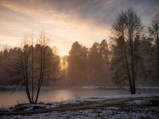 Ноябрьский вечер в Кратово