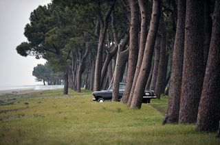 Огромнейший пляжище свободного проезда между Кабулети и Батуми, полоса километров 10 с вот такими вот соснами, красота! )