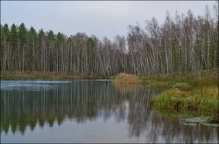 Пасмурное начало утра на голубом пруду в ноябре