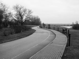 Куликово поле 1