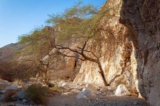 Иудейская пустыня. Рядом с ММ. Без воды можно прожить только сутки.