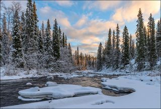 Во второй половине дня пробилось солнце