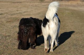 Мама и дочь на прогулке