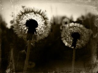 Старые истории