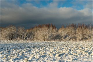 Ноябрь, где-то в Вологодской области (1).