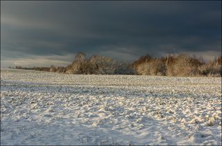 Ноябрь, где-то в Вологодской области (2).