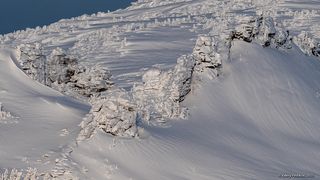 03 На склонах видны только звериные тропки вместо привычных следов лыжников и сноубордистов