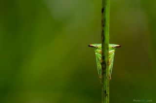 Игра в прятки