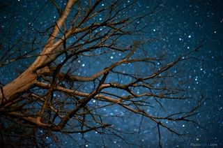 Под звездами