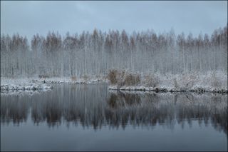 Первый снег на ноябрьских торфяных прудах