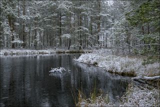 Холодная вода и снег