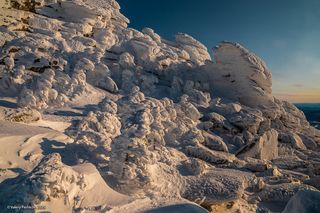 02 Скалы и кедры здесь покрыты толстым фактурным слоем инея, …