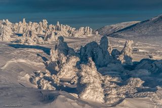 02 но фактуры на заснеженных пихтах и кедрах, всё равно интересно снимать…