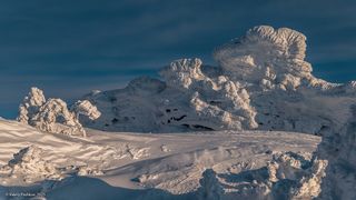 02 Зимой они очень выразительны, …