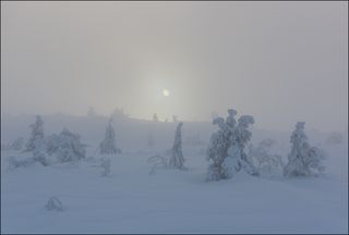 Солнце уже довольно высоко, но только начинает пробиваться.
