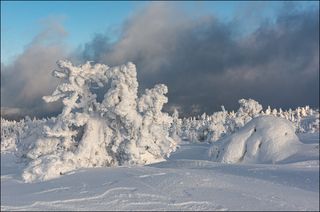 Пробилось солнце и мир вокруг стал другим