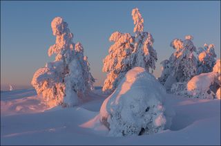 На пике закатного цвета