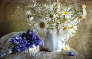 Утро завтрашнего дня