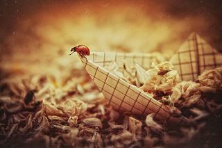 Приключения коровки-\