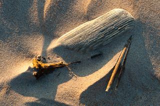 Свет ушедшего лета.