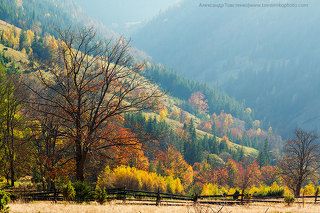 Цвета осени