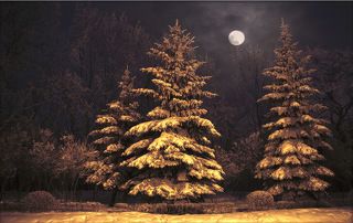 Там чудеса, там...