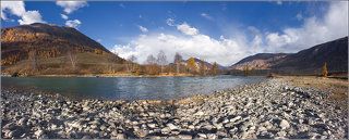 золотая Чуя