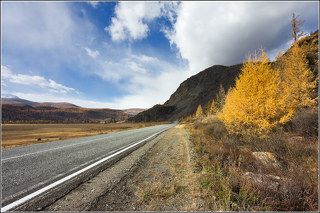 золото Алтая